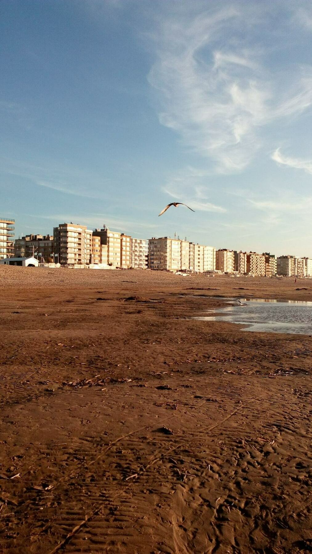 Bed aan zee Kabine7 Koksijde Buitenkant foto